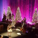 Kacey Musgraves Brings Santa, Snow and a Whole Lot of Christmas Spirit to Ryman Show